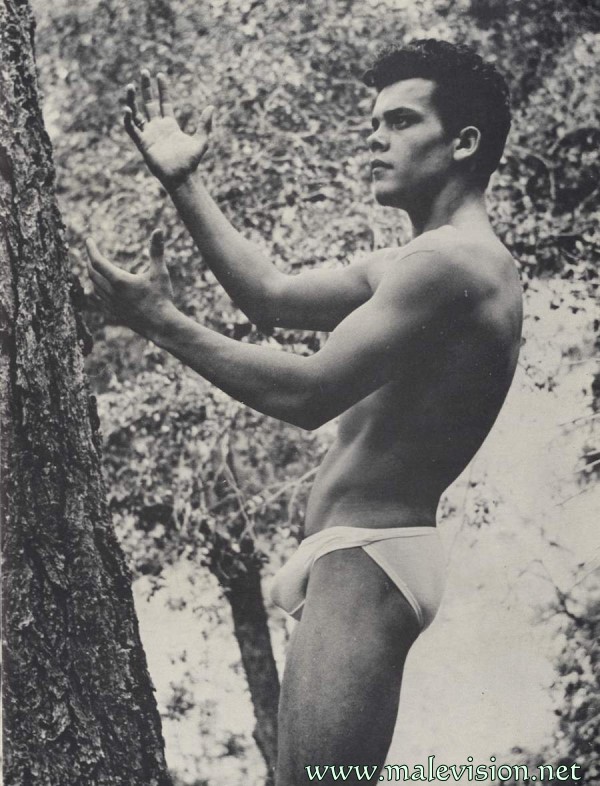 swedish male vintage physique