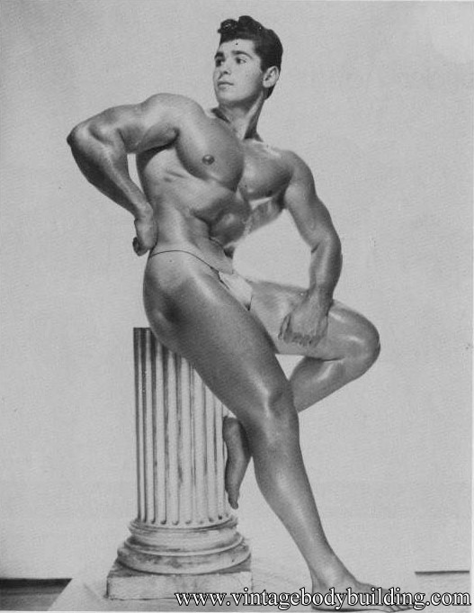 Stunning bodybuilder physique photo